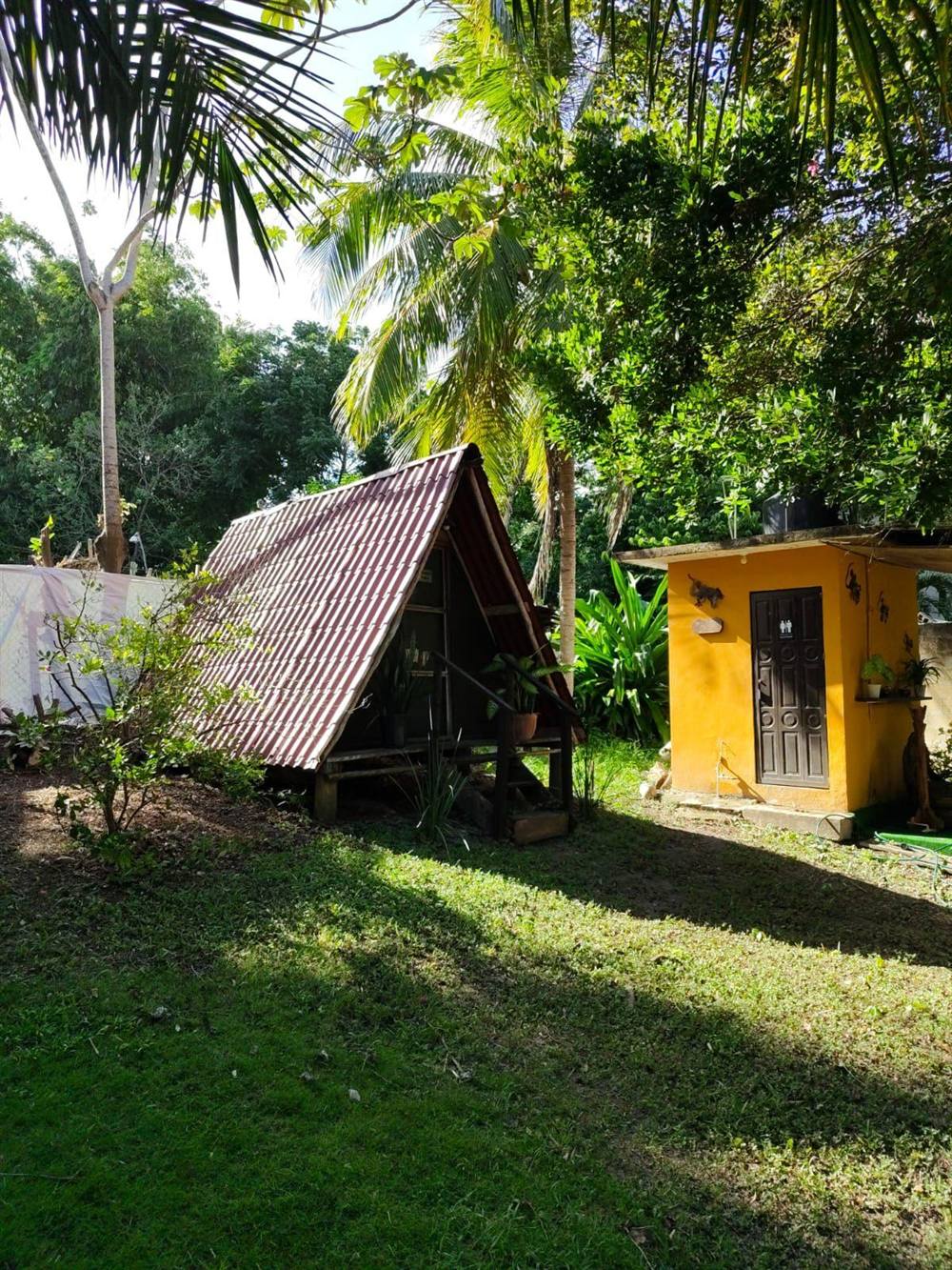 Cabaña rodeada de palmeras